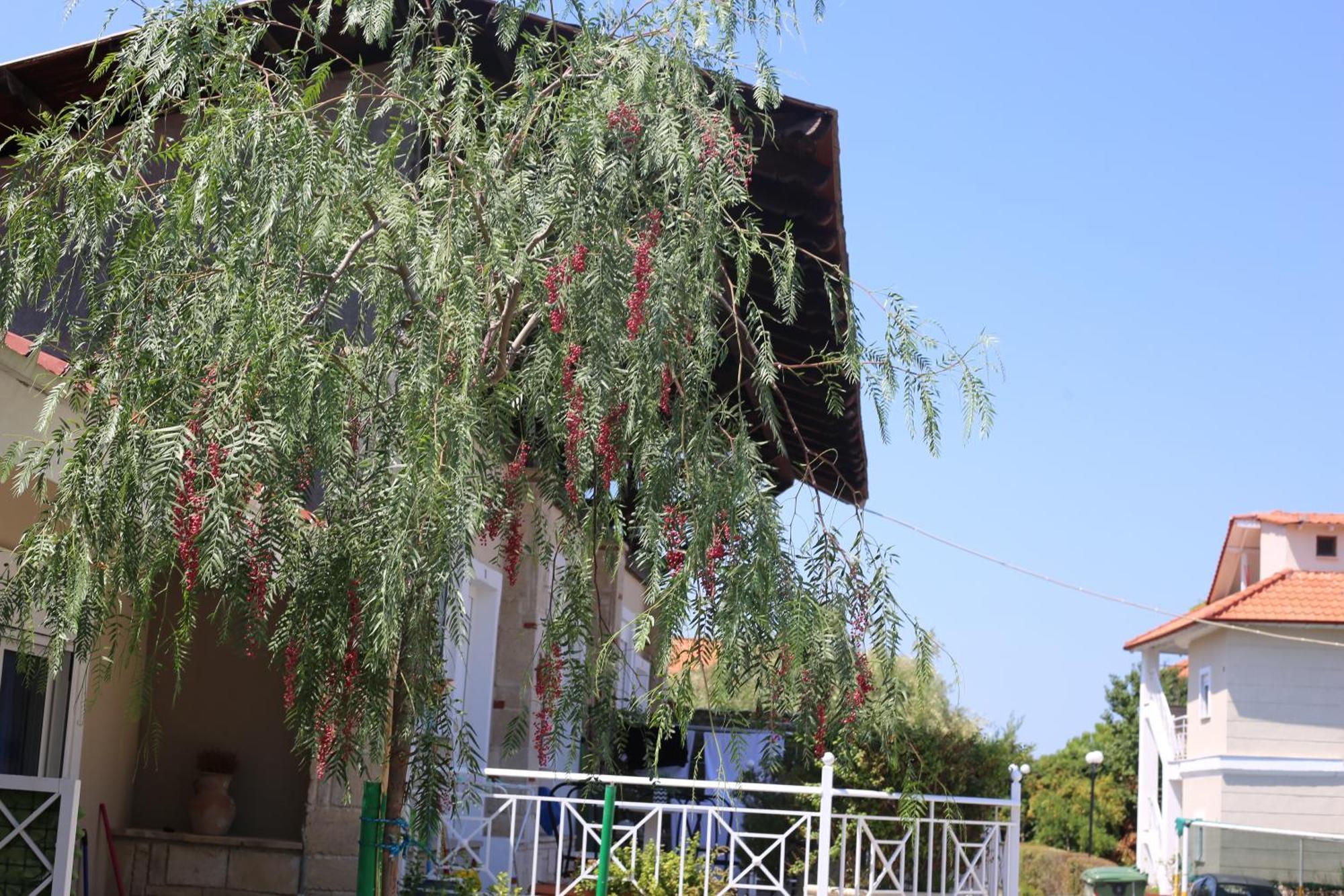 Golden Residence Family Resort Pefkohóri Kültér fotó